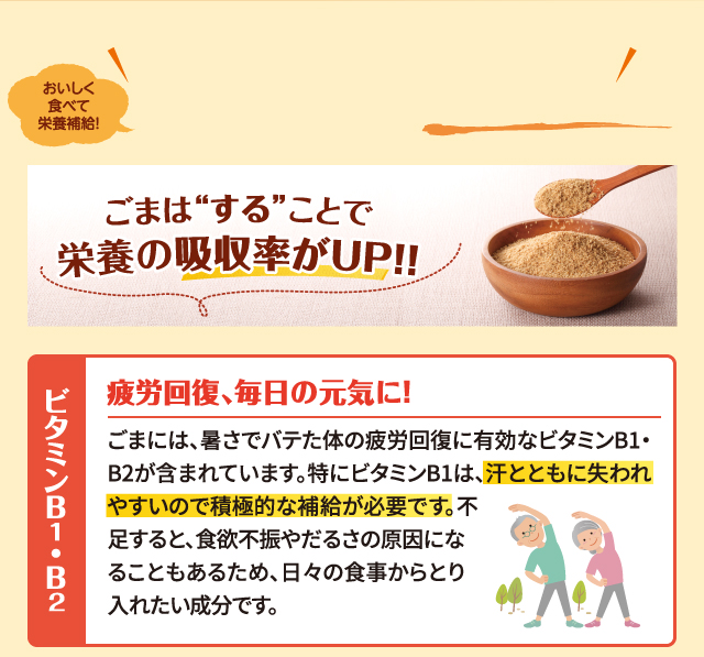 ごまはすることで栄養吸収率がUP!!