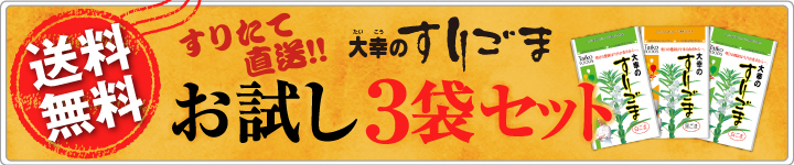 WEB注文限定約300円オフ！！