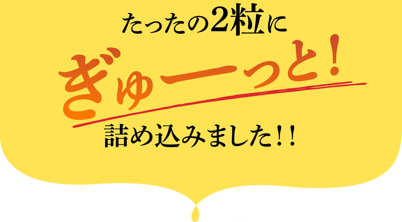 ぎゅーっと！詰め込みました！！